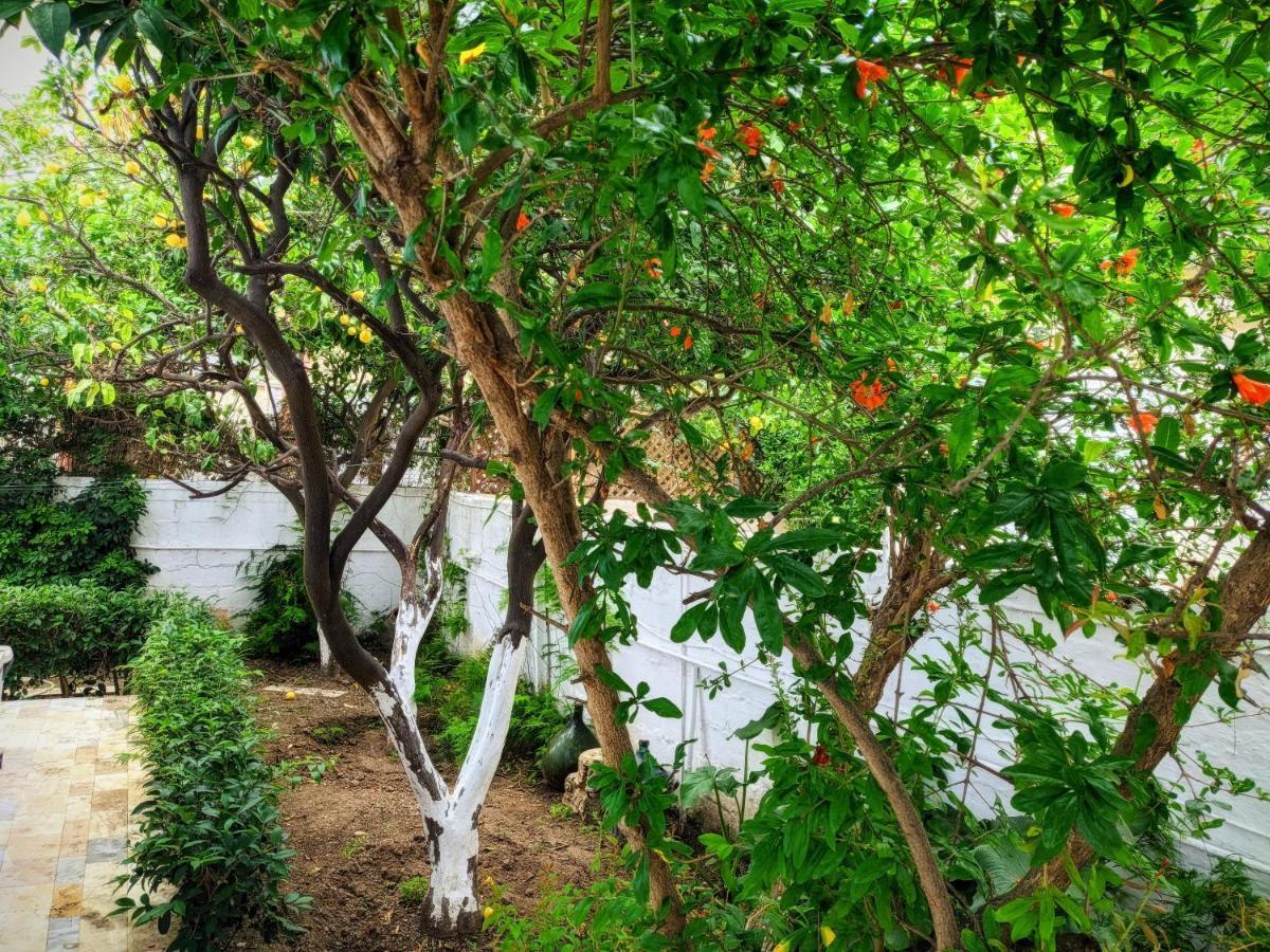 House With Garden In City Of Rhodes Rhodes City エクステリア 写真